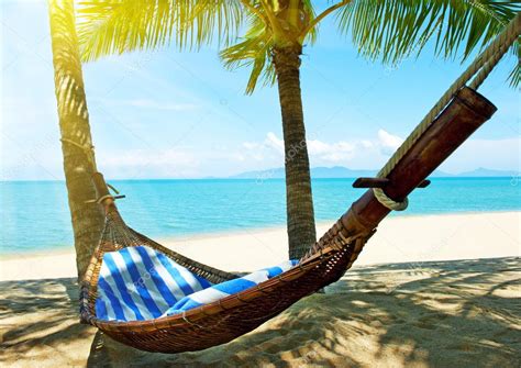 Empty Hammock Between Palm Trees On Tropical Beach Stock Photo