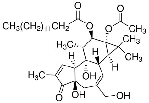 Phorbol Myristate Acetat P Mg Sigma Aldrich Sls