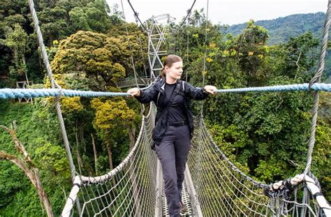 Canopy Walk In Nyungwe Forest National Park Canopy Walk