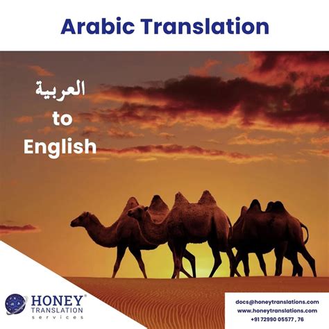 Arabic To English Language Translation Services At ₹ 5word In Chennai