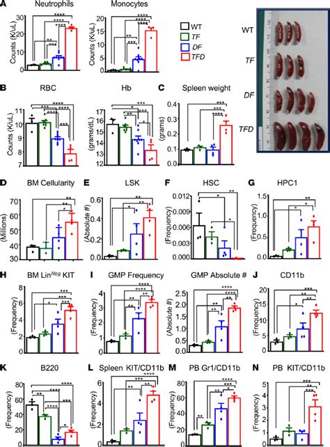 Combined Heterozygous Loss Of Tet2 And Dnmt3a And Expression Of Flt3