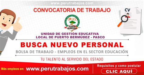 EMPLEO UGEL PUERTO BERMÚDEZ TESORERO