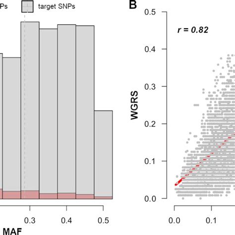 A Distribution Of Minor Allele Frequencies Maf Between Target