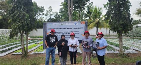 Dukung Ketahanan Pangan Nasional Pupuk Indonesia Serahkan Kebun