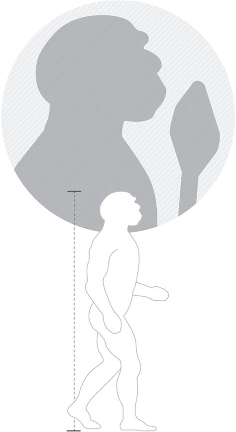 Neanderthal Ancestry - 23andMe | Neanderthal, Ancestry report, Ancient humans