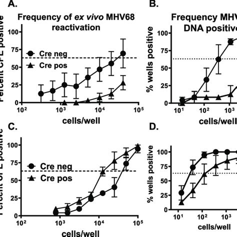 T Cell Specific Stat1 Expression Affects The Latent Reservoir And Mhv68