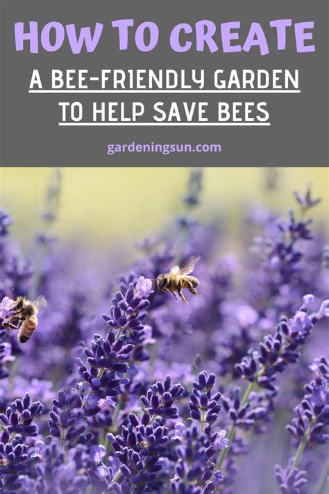 HOW TO CREATE A BEE FRIENDLY GARDEN TO HELP SAVE BEES