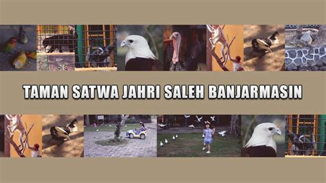 Taman Satwa Jahri Saleh Banjarmasin YouTube