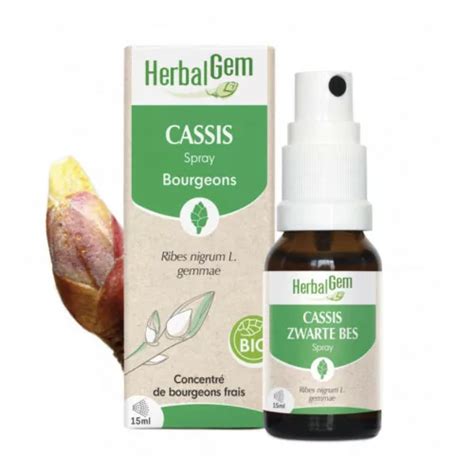 Cassis Bio Mac Rat M Re Bourgeons Spray Ml Herbalgem