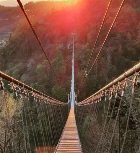 Il Ponte Tibetano Pi Lungo Del Mondo A Un Ora Da Milano