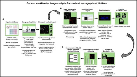 Tools Of The Trade Image Analysis Programs For Confocal Laser Scanning