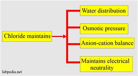 Chloride Blood Chloride Cl And Cystic Fibrosis Labpedia Net