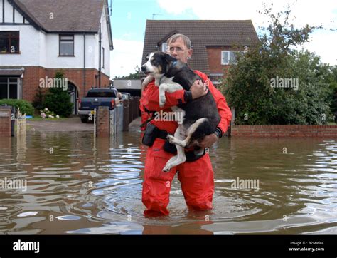 An Rspca Flood Rescue Officer Carries A Pet Dog Across A Flooded Street