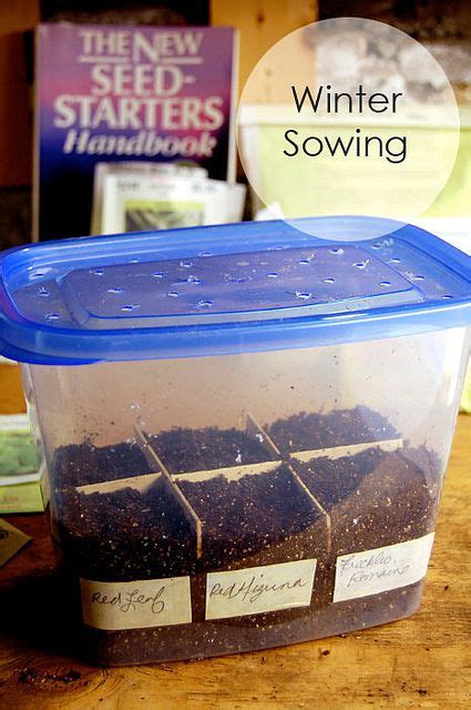 Winter Sowing Starting Your Plants Outdoors In Winter Winter