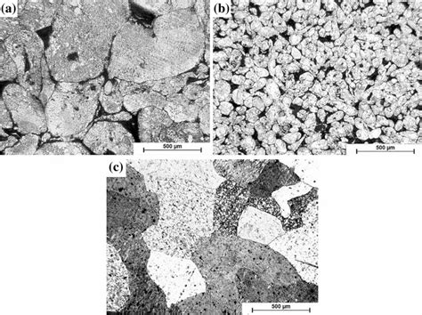 Microstructure Of The Porous Zinc Materials Produced By Spark Plasma Download Scientific