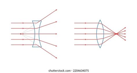 Convex Concave Lens Schematic Diagram Optics Stock Vector Royalty Free