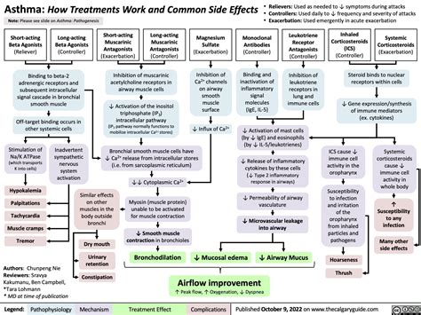 Asthma How Treatments Work And Common Side Effects Calgary Guide