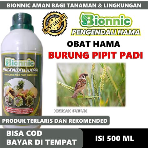 Jual PROMO COD BIONNIC Obat Hama Burung Pada Padi Obat Pembasmi Hama