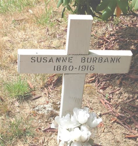 Susan Ann Susanne Henderson Burbank 1880 1916 Find A Grave Memorial