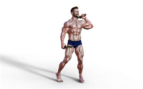 Muscular Man Pngs For Free Download