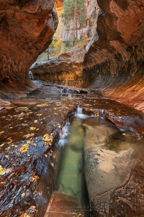 The Subway Zion National Park Alan Majchrowicz Photography