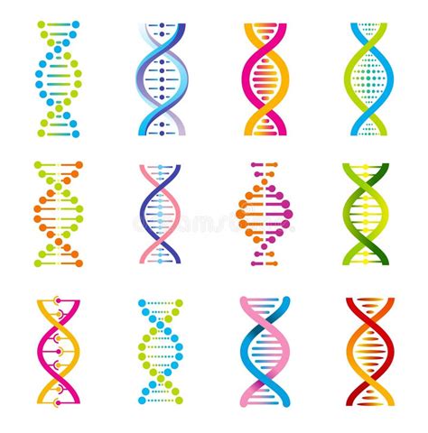 Dna Helix Vector Icons Of Genetics Medicine Stock Vector Illustration