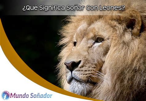 Qu Significa So Ar Con Leones Mundo So Ador