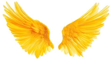 Yellow Angel Wings Realistic Premium Ai Generated Image