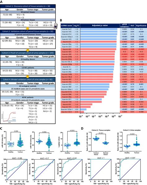 Bladimir A Urine Based Mirna Score For Accurate Bladder Cancer