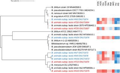 Frontiers Whole Genome Resequencing And Transcriptional Profiling