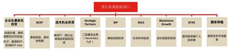 2022年黑石集团研究报告 21经济网