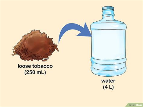 Mani Res De Fabriquer Un Pesticide Biologique