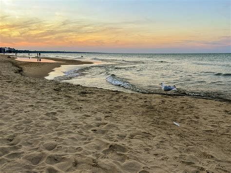 Summer Evening Photograph By Patty Colabuono Fine Art America