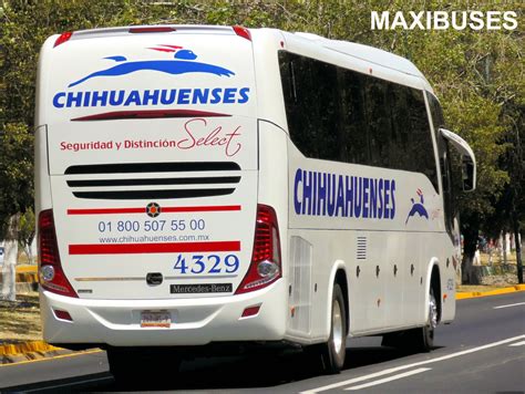 Maxibuses Transportes Chihuahuenses Select Nuevas Unidades