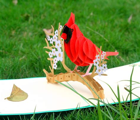 Cutpopup Cardinal Greeting Card Pop Up 3d Mothers Day Birthday Card