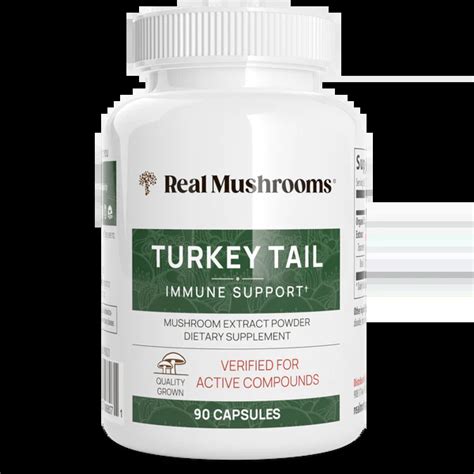 Turkey Tail Extract Capsules Functional Medicine Studio