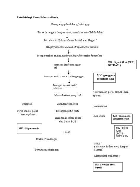 Pathway Abses Submandibula Pdf