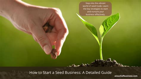 How To Start A Seed Business A Detailed Guide