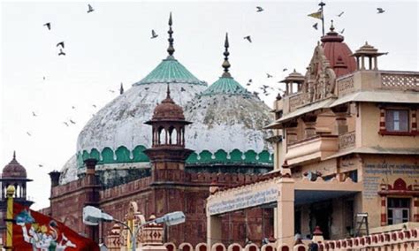 Krishna Janmabhoomi Shahi Idgah Allahabad Hc Reserves Order On