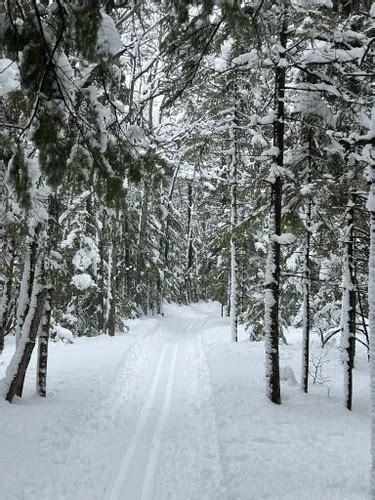 Best Cross Country Skiing Trails In Levis AllTrails