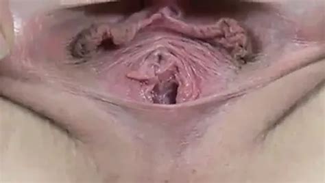 Free Spread Pussy Porn Videos 14 XHamster