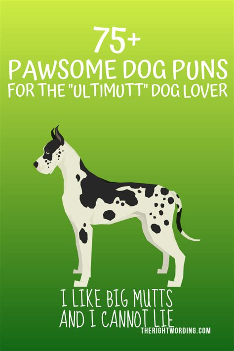 75 Pawsome Dog Puns For The Ultimutt Dog Lover Dog Puns Clever