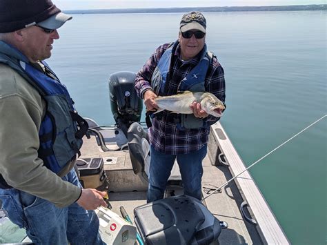 Cayuga Lake Out Of Long Point 420 421 Finger Lakes Angling Zone