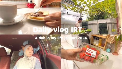 Daily Vlog IRT A Day In My Life Masak Simple Panen Semua Sayur