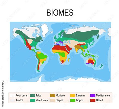 Biomes. Terrestrial ecosystem Stock Vector | Adobe Stock