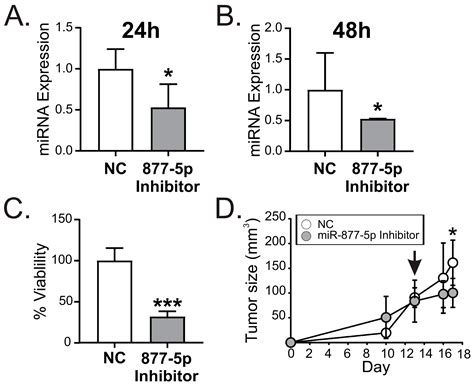 Ijms Free Full Text Mir 877 5p As A Potential Link Between Triple Negative Breast Cancer