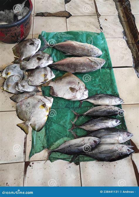 Various Types Of Marine Fish Sold In Traditional Markets Stock Image