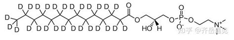 140 D27 Lyso Pc1 Myristoyl D27 Sn Glycero 3 Phosphocholine 知乎