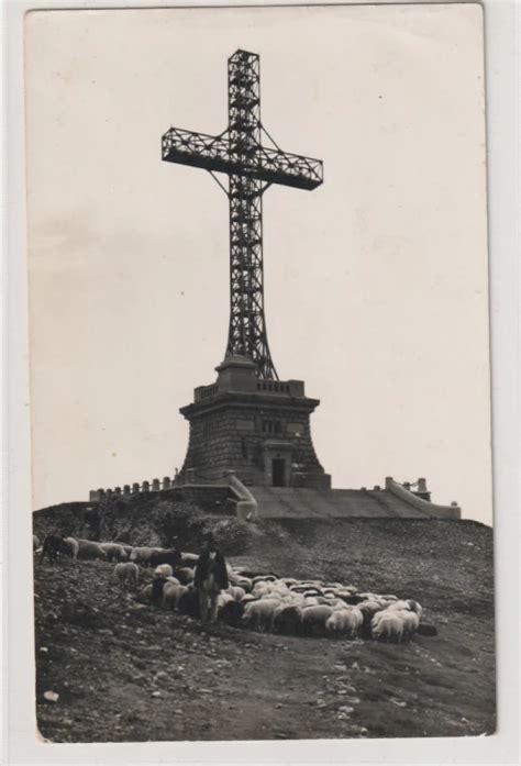 Sinaia Monumentul Eroilor Realfoto Tip Carte Postala Fauna Turma De