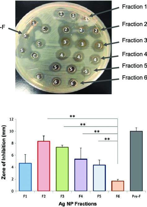 Size Dependent Antibacterial Effect Of Laser Generated Silver